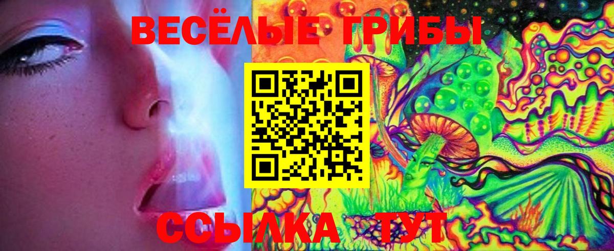 Будённовск  Псилоцибиновые грибы мицелий  Галлюциногенные грибы мухоморы  Вход с VPN 